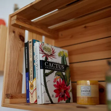 Appartamento Penthouse Cactus Old Center