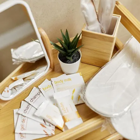 Penthouse Cactus Old Center * Alicante