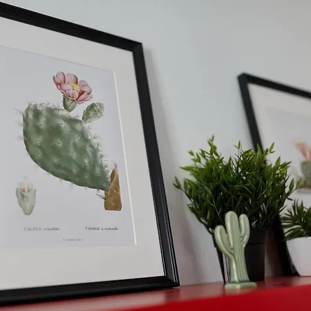 Penthouse Cactus Old Center * Alicante