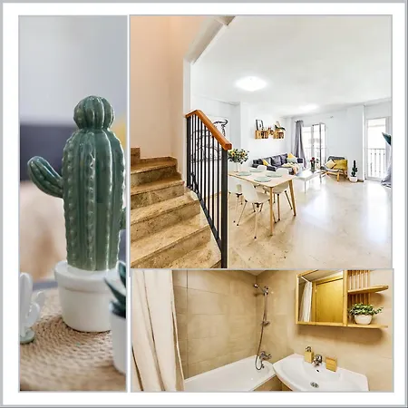 Penthouse Cactus Old Center Alicante