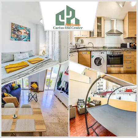 Penthouse Cactus Old Center Appartamento Alicante