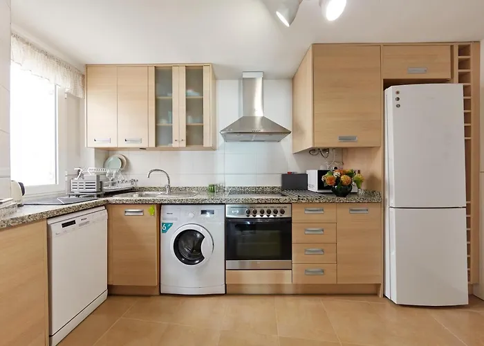 Penthouse Cactus Old Center Αλικάντε