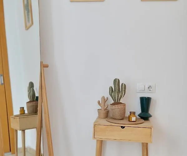 Penthouse Cactus Old Center Αλικάντε