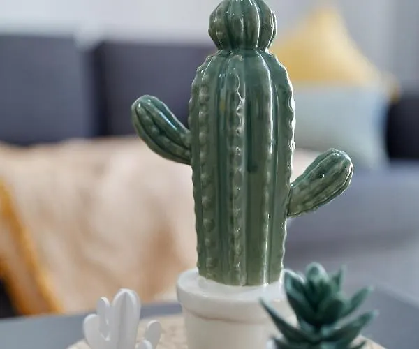 Διαμέρισμα Penthouse Cactus Old Center *