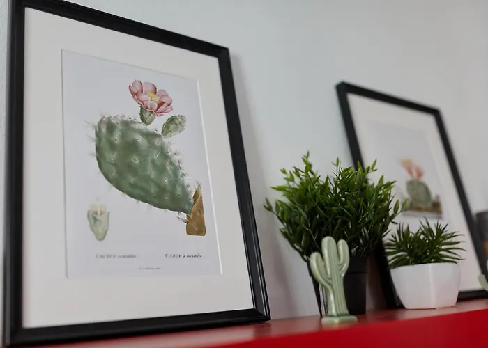 Penthouse Cactus Old Center * Αλικάντε