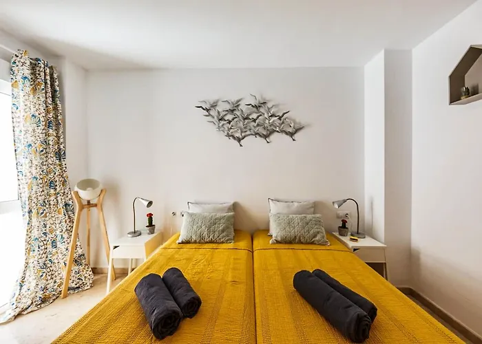 Penthouse Cactus Old Center Αλικάντε