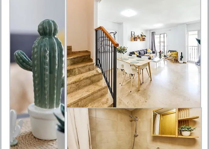 Penthouse Cactus Old Center Αλικάντε