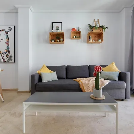 Penthouse Cactus Old Center Apartment Alicante