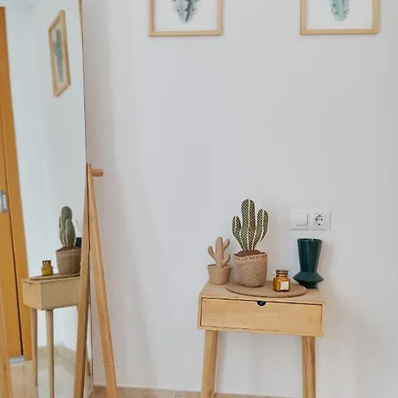 Penthouse Cactus Old Center Alicante