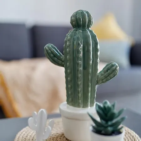Apartment Penthouse Cactus Old Center *